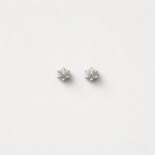 Topos Estrella Circón (Plata 925)